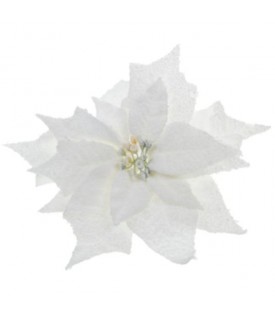 162472 POINSETTIA ETOILE...